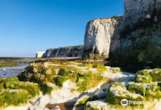 Botany Bay Beach景点图片