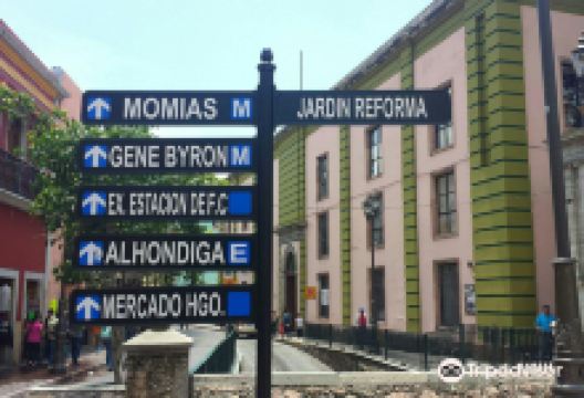 Jardín Reforma景点图片