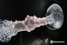 MusVerre景点图片