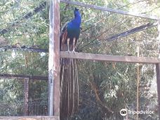 Discovery Farm Saint-André-滨海阿热莱斯