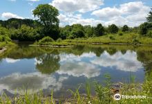 Willowbrook Wildlife Center Clinic景点图片