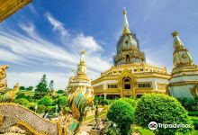 Phra Maha Chedi CHai Mongkol景点图片