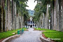 Rua das Palmeiras景点图片
