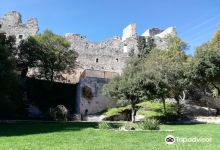 Jardin botanico de Santa Catalina景点图片