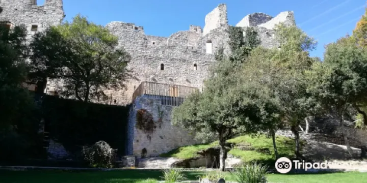 Jardin botanico de Santa Catalina