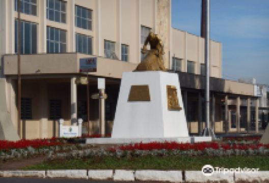 Monumento ao Curtidor景点图片