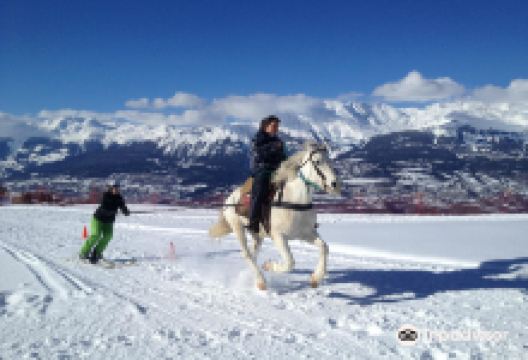Ski Joëring景点图片