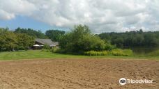 Parc des Gayeulles-雷恩