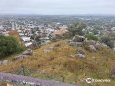 Bellevue Hill Reserve and Lookout-考拉