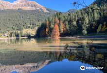 Lac des Plagnes景点图片