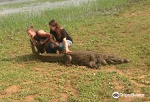 Sacred Crocodile Ponds景点图片