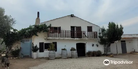 Bodega Mas de Rander