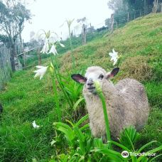 Granja La Cascada-La Frontera