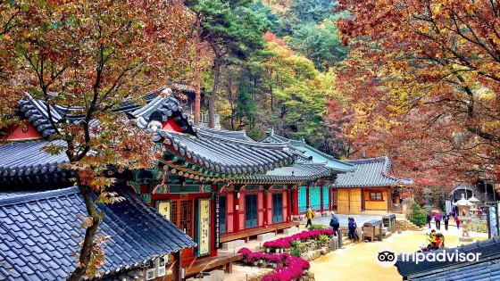 自在庵