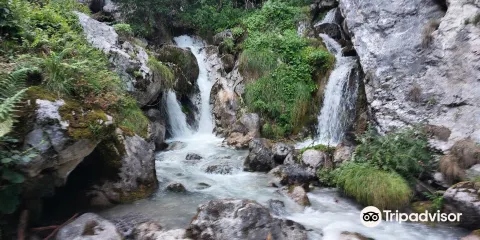 Area Natura Rio Bianco
