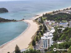 Mauao / Mount Maunganui summit-塔朗哥