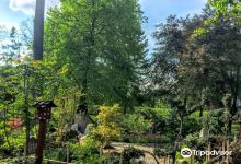 Municipal Botanical Garden景点图片