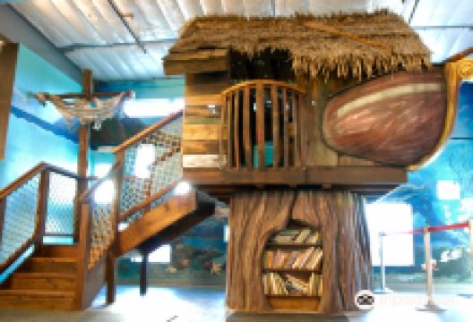 Santa Maria Valley Discovery Museum景点图片