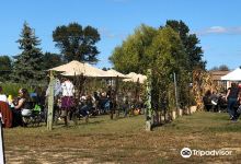 Heritage Vineyard景点图片