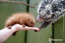 罗杰威廉斯公园动物园-普罗维登斯