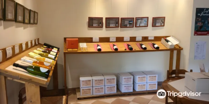 Chateau Saint Esteve