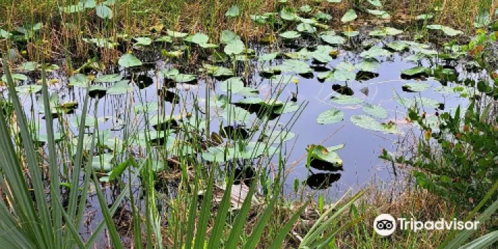 Loxahatchee Slough Natural Area