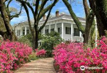 Bragg-Mitchell Mansion景点图片