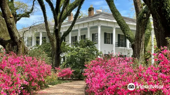 Bragg-Mitchell Mansion