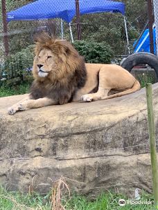 Tokushima Zoo-德岛