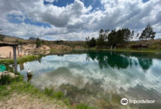 Pedaleando Ando购物图片