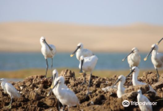 Khnifiss Lagoon景点图片