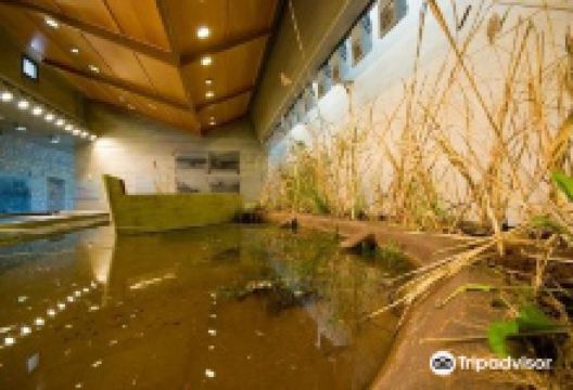 The Environment Museum of Stymphalia景点图片