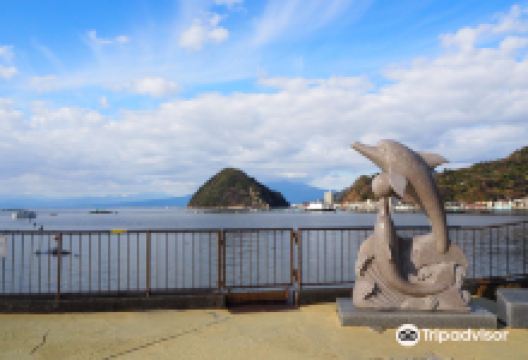 伊豆・三津海洋乐园景点图片