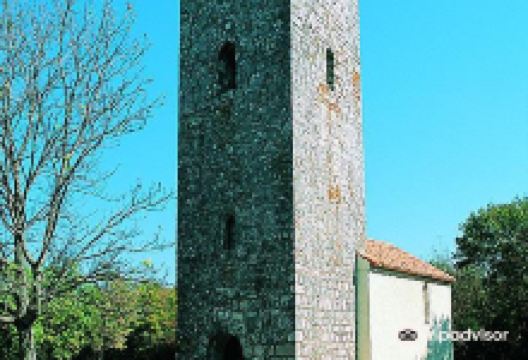 St.Vitus church景点图片