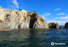 Waikawa Dive Centre购物图片