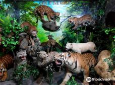 Rahmat International Wildlife Museum & Gallery-棉兰