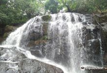 Algama Falls景点图片