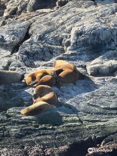 Isla Martillo-乌斯怀亚