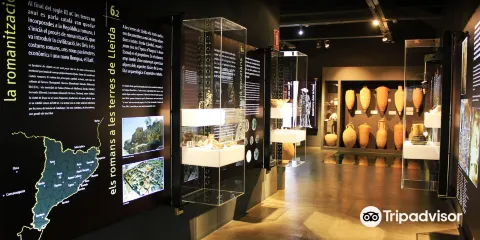 Museu de Guissona Eduard Camps