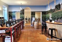 Maison des Vins de Gaillac景点图片