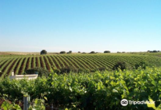 Little Oak Sanctuary Incorporated景点图片