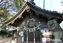 诹访神社景点图片