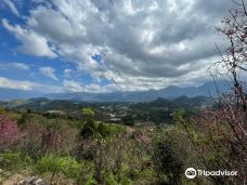 Jinlong Mountain-南投
