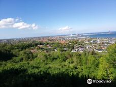 Pikkerbakken-腓特烈港