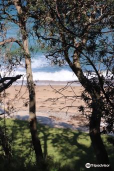 Coalcliff Beach-卧龙岗