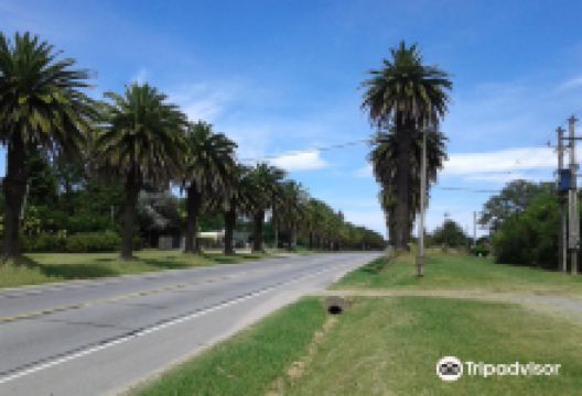 Bernardi Winery景点图片