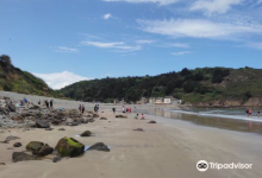 Plage du Palus景点图片