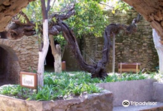 福雷斯蒂耶雷地下公园景点图片