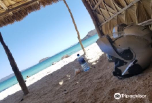 Playa Los Cocos景点图片