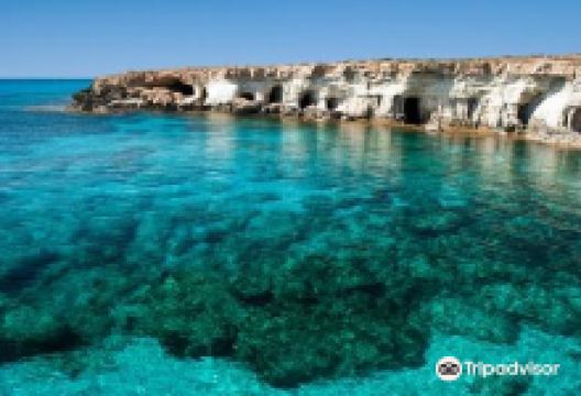 Coral Bay Divers购物图片